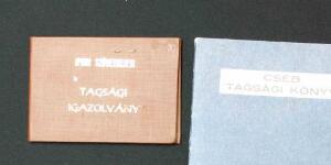 Similar Story