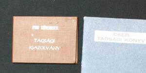 Similar Story