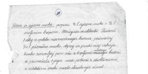 transcription-result